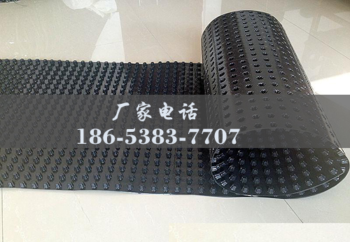 排水板廠(chǎng)家http://m.whyingpai.com/