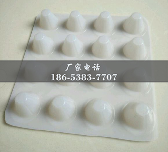 排水板廠(chǎng)家http://m.whyingpai.com/