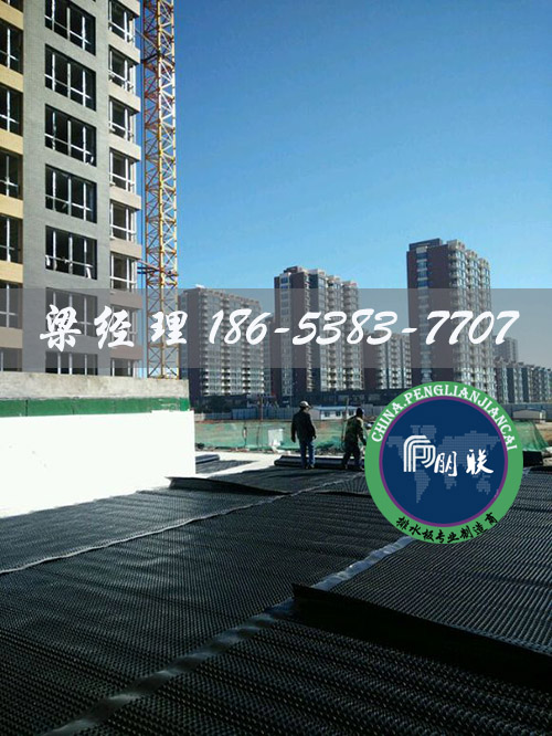 排水板廠(chǎng)家http://m.whyingpai.com/