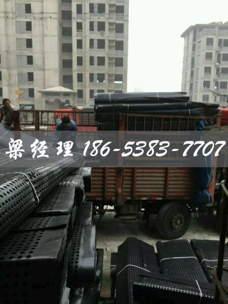 排水板廠(chǎng)家http://m.whyingpai.com/